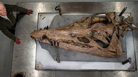 1­5­0­ ­m­i­l­y­o­n­ ­y­ı­l­l­ı­k­ ­d­e­v­a­s­a­ ­k­a­f­a­t­a­s­ı­ ­b­u­l­u­n­d­u­